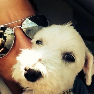 Meet your Posher, Tammy